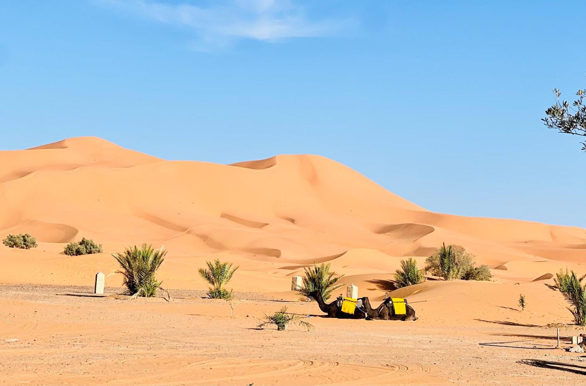 Hotel Camping Les Roses Des Dunes & Piscine メルズーガ エクステリア 写真