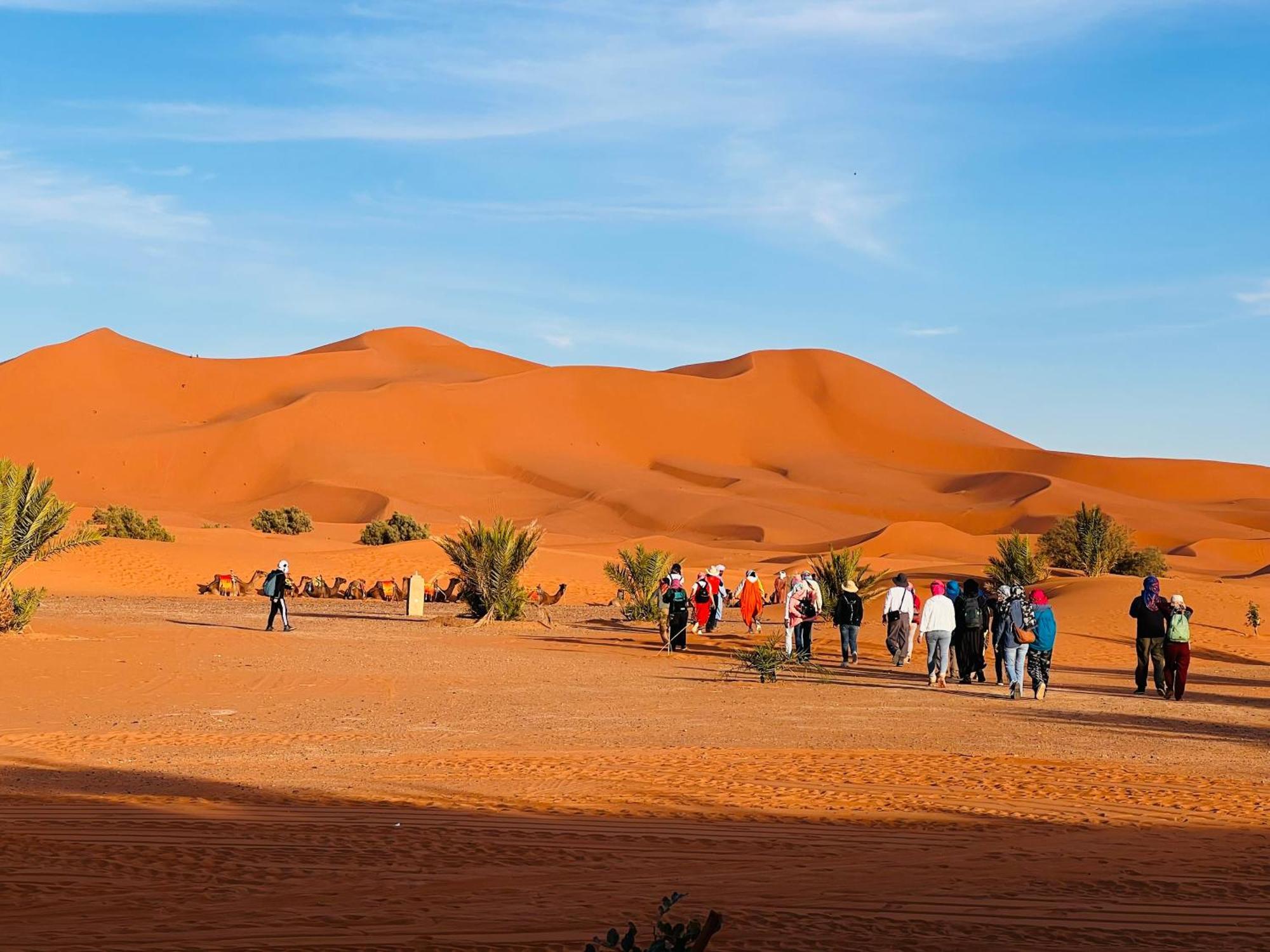 Hotel Camping Les Roses Des Dunes & Piscine メルズーガ エクステリア 写真