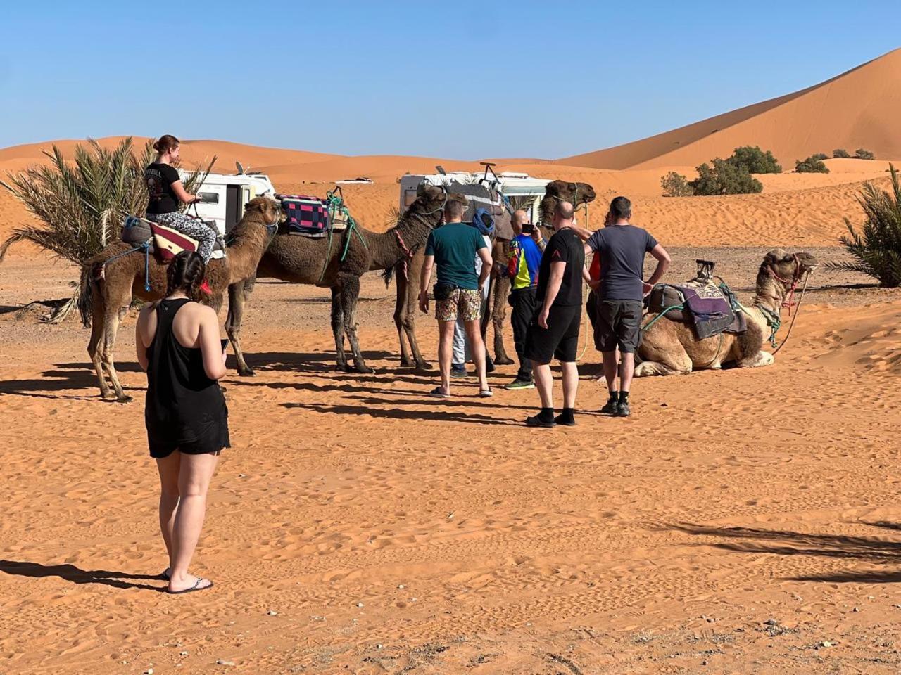 Hotel Camping Les Roses Des Dunes & Piscine メルズーガ エクステリア 写真